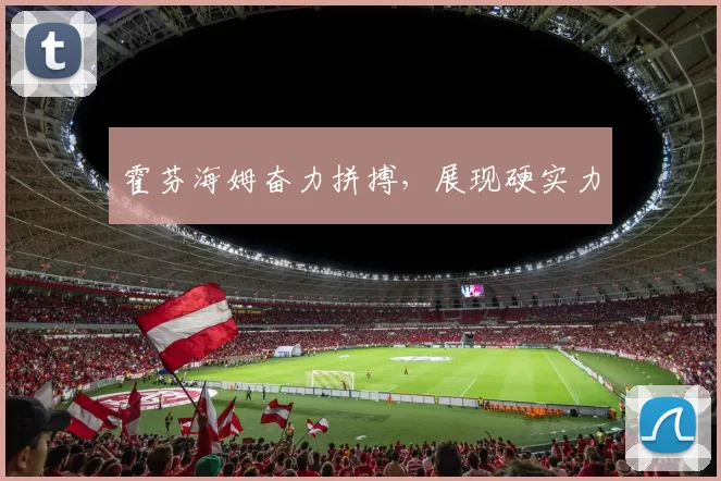 霍芬海姆奋力拼搏，展现硬实力